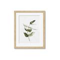 Picture of Green Leaves I  _GroupedProduct_Rectangle_Portrait_Framed_Matted_