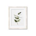Picture of Green Leaves I  _GroupedProduct_Rectangle_Portrait_Framed_Matted_
