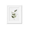 Picture of Green Leaves I  _GroupedProduct_Rectangle_Portrait_Framed_Matted_