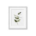 Picture of Green Leaves I  _GroupedProduct_Rectangle_Portrait_Framed_Matted_
