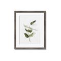 Picture of Green Leaves I  _GroupedProduct_Rectangle_Portrait_Framed_Matted_