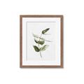 Picture of Green Leaves I  _GroupedProduct_Rectangle_Portrait_Framed_Matted_