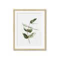 Picture of Green Leaves I  _GroupedProduct_Rectangle_Portrait_Framed_Matted_