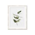 Picture of Green Leaves I  _GroupedProduct_Rectangle_Portrait_Framed_Matted_
