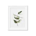 Picture of Green Leaves I  _GroupedProduct_Rectangle_Portrait_Framed_Matted_
