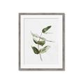 Picture of Green Leaves I  _GroupedProduct_Rectangle_Portrait_Framed_Matted_