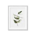 Picture of Green Leaves I  _GroupedProduct_Rectangle_Portrait_Framed_Matted_
