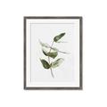 Picture of Green Leaves I  _GroupedProduct_Rectangle_Portrait_Framed_Matted_