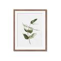 Picture of Green Leaves I  _GroupedProduct_Rectangle_Portrait_Framed_Matted_