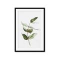 Picture of Green Leaves I  _GroupedProduct_Rectangle_Portrait_Framed_Matted_