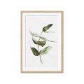 Picture of Green Leaves I  _GroupedProduct_Rectangle_Portrait_Framed_Matted_