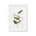 Picture of Green Leaves I  _GroupedProduct_Rectangle_Portrait_Framed_Matted_