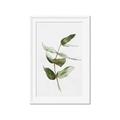 Picture of Green Leaves I  _GroupedProduct_Rectangle_Portrait_Framed_Matted_