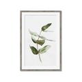 Picture of Green Leaves I  _GroupedProduct_Rectangle_Portrait_Framed_Matted_