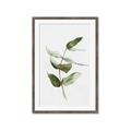 Picture of Green Leaves I  _GroupedProduct_Rectangle_Portrait_Framed_Matted_