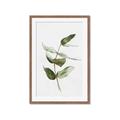 Picture of Green Leaves I  _GroupedProduct_Rectangle_Portrait_Framed_Matted_
