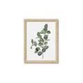 Picture of Green Leaves II  _GroupedProduct_Rectangle_Portrait_Framed_Matted_