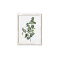 Picture of Green Leaves II  _GroupedProduct_Rectangle_Portrait_Framed_Matted_