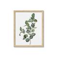 Picture of Green Leaves II  _GroupedProduct_Rectangle_Portrait_Framed_Matted_