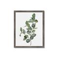 Picture of Green Leaves II  _GroupedProduct_Rectangle_Portrait_Framed_Matted_