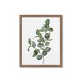 Picture of Green Leaves II  _GroupedProduct_Rectangle_Portrait_Framed_Matted_