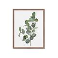 Picture of Green Leaves II  _GroupedProduct_Rectangle_Portrait_Framed_Matted_