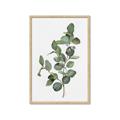 Picture of Green Leaves II  _GroupedProduct_Rectangle_Portrait_Framed_Matted_