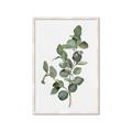 Picture of Green Leaves II  _GroupedProduct_Rectangle_Portrait_Framed_Matted_