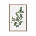 Picture of Green Leaves II  _GroupedProduct_Rectangle_Portrait_Framed_Matted_
