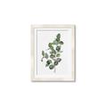 Picture of Green Leaves II  _GroupedProduct_Rectangle_Portrait_Framed_Matted_