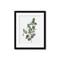 Picture of Green Leaves II  _GroupedProduct_Rectangle_Portrait_Framed_Matted_