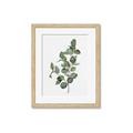Picture of Green Leaves II  _GroupedProduct_Rectangle_Portrait_Framed_Matted_