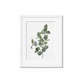 Picture of Green Leaves II  _GroupedProduct_Rectangle_Portrait_Framed_Matted_