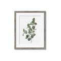 Picture of Green Leaves II  _GroupedProduct_Rectangle_Portrait_Framed_Matted_