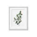 Picture of Green Leaves II  _GroupedProduct_Rectangle_Portrait_Framed_Matted_