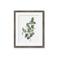 Picture of Green Leaves II  _GroupedProduct_Rectangle_Portrait_Framed_Matted_