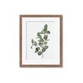 Picture of Green Leaves II  _GroupedProduct_Rectangle_Portrait_Framed_Matted_