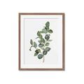Picture of Green Leaves II  _GroupedProduct_Rectangle_Portrait_Framed_Matted_
