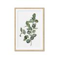 Picture of Green Leaves II  _GroupedProduct_Rectangle_Portrait_Framed_Matted_
