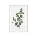 Picture of Green Leaves II  _GroupedProduct_Rectangle_Portrait_Framed_Matted_