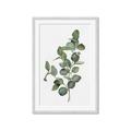 Picture of Green Leaves II  _GroupedProduct_Rectangle_Portrait_Framed_Matted_