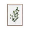 Picture of Green Leaves II  _GroupedProduct_Rectangle_Portrait_Framed_Matted_
