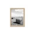 Picture of Hay Bail _GroupedProduct_Rectangle_Portrait_Photography _GroupedProduct_Rectangle_Portrait_Framed_Matted_