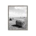 Picture of Hay Bail _GroupedProduct_Rectangle_Portrait_Photography _GroupedProduct_Rectangle_Portrait_Framed_Matted_