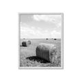 Picture of Hay Bail _GroupedProduct_Rectangle_Portrait_Photography _GroupedProduct_Rectangle_Portrait_Framed_Matted_