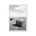 Picture of Hay Bail _GroupedProduct_Rectangle_Portrait_Photography _GroupedProduct_Rectangle_Portrait_Framed_Matted_
