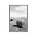 Picture of Hay Bail _GroupedProduct_Rectangle_Portrait_Photography _GroupedProduct_Rectangle_Portrait_Framed_Matted_