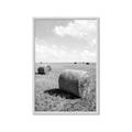 Picture of Hay Bail _GroupedProduct_Rectangle_Portrait_Photography _GroupedProduct_Rectangle_Portrait_Framed_Matted_