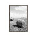 Picture of Hay Bail _GroupedProduct_Rectangle_Portrait_Photography _GroupedProduct_Rectangle_Portrait_Framed_Matted_