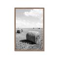 Picture of Hay Bail _GroupedProduct_Rectangle_Portrait_Photography _GroupedProduct_Rectangle_Portrait_Framed_Matted_